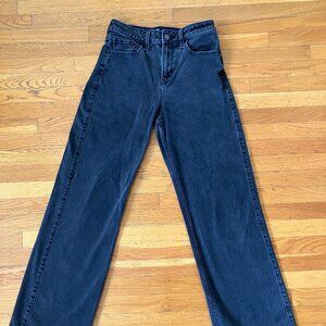 Hollister Blue/Black Stretch High Rise Vintage Baggy Jean